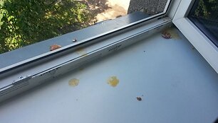 &bdquo;Tauragės radijo&ldquo; studija buvo apmėtyta kiau&scaron;iniais.