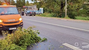 Vėjo padaryta žala Vilniaus mieste