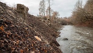 Tvarkomos Vilnios pakrantės