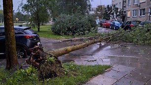 Pirmadienio rytas,  Viršulišės, Justiniškių gatvė