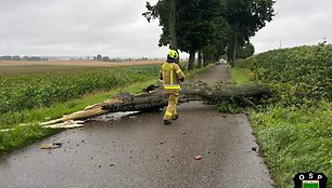 Lenkijos gelbėtojų darbas