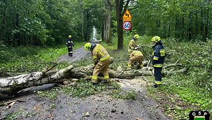 Lenkijos gelbėtojų darbas