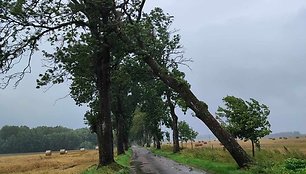 Lenkijos gelbėtojų darbas