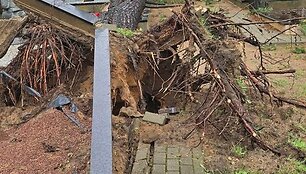 Audros nuniokotos &Scaron;ilaičių kapinės