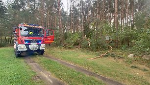 Viesulo padariniai Lenkijoje, Lodzės vaivadijoje