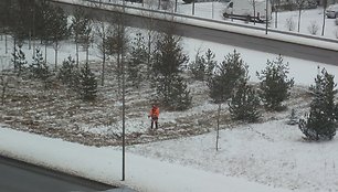 Šienauti žolę galima ir sausį, nesvarbu, kad sninga