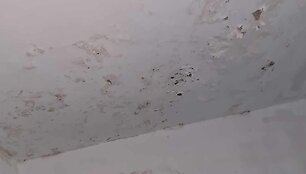 Vaizdai i&scaron; daugiabučio S.Nėries gatvėje, Zarasuose