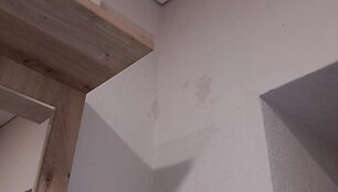 Vaizdai i&scaron; daugiabučio S.Nėries gatvėje, Zarasuose