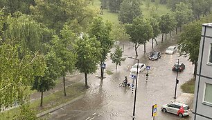 Liūtis skandina Alytų