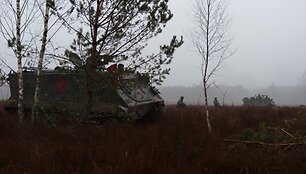 Pratybos &bdquo;Ulono smūgis-2014&ldquo;