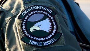 Naikintuvai F-16 ir kiti JAV lėktuvai jau Lenkijoje
