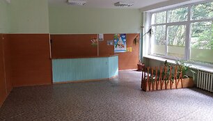 Buvusi &Scaron;.Aleichemo mokykla, turėjusi tapti &bdquo;Gluosnio&ldquo; darželiu