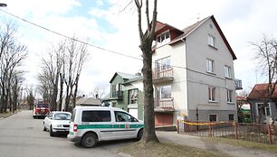 J.I.Kra&scaron;evskio gatvė Kaune