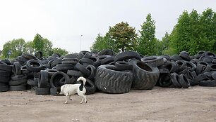 Padangų sąvartynas Domeikavoje