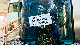Pasipir&scaron;imo akimirka