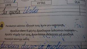 Pratybų sąsiuvinis 
