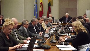 Klaipėdos valdžia tikisi Vyriausybės apsisprendimo dėl terminalų statybos. 