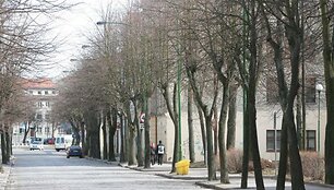 Daug metų remonto nemačiusi J.Janonio gatvė tapo pavojinga ir ratuotiems, ir pėstiesiems. 