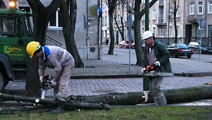 Pirmadienio rytą Klaipėdoje buvo &scaron;alinami uragano padariniai. 