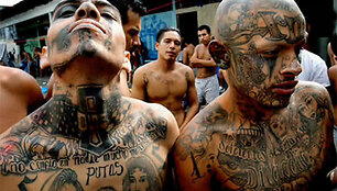 MS-13 gaujos nariai