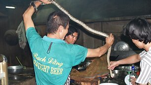 Valgydami gyvatę retsykiais gurk&scaron;telkite degtinės ar vandens su gyvačių krauju. Tai jums suteiks adrenalino ir energijos