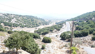 Salos kalvos