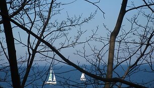 Pakrantės skardžiai