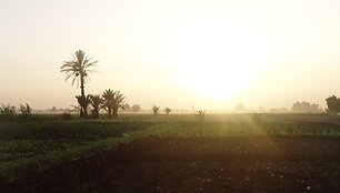 Nilo baseinas &ndash; Egipto maisto &scaron;altinis.