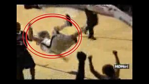 Скриншот видео.