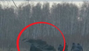 Скриншот видео.