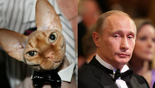 Коллаж pharaon01.livejournal.com