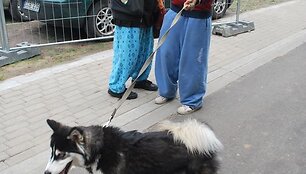&bdquo;Tamsta muzika 2012&ldquo; dalyviai su augintiniais