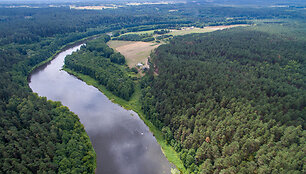 Nemuno vingis ties Druskininkų kaimu