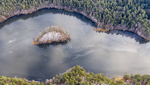 Didžiųjų Gulbinų piliakalnis