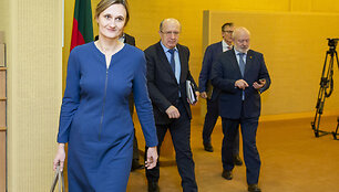 Viktorija Čmilytė-Nielsen