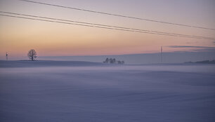 Į Lietuvą atsirito nauja &scaron;alčio banga