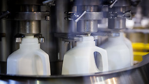 „Pieno žvaigždžių" pieno gamyba