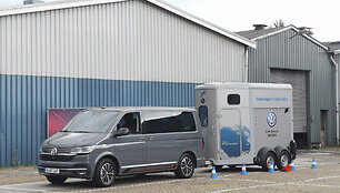 &bdquo;Volkswagen Multivan T6.1&ldquo;