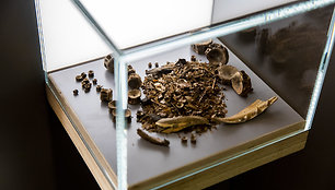 Lietuvos nacionaliniame muziejuje pristatyti akmens amžiaus radiniai
