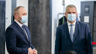 Darbo partija aptaria Seimo rinkimų rezultatus