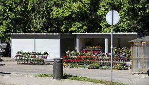Prekyba gėlėmis prie Rokantiškių kapinių