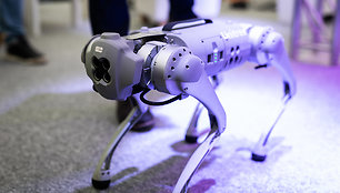 Tecnologijų kompanijos „Accenture“ šuo robotas