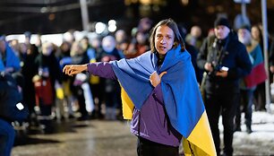 Ukrainos palaikymo mitingas