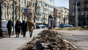 Pernai pasodinti medžiai Vilniaus centre kažkodėl jau išrauti