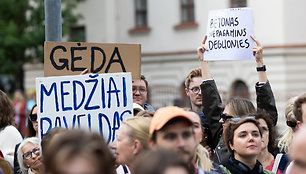 Protestas dėl medžių J.Basanavičiaus gatvėje