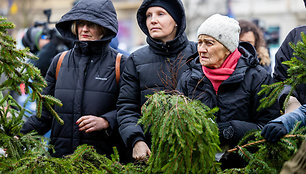 Valstybinių miškų urėdijos miškininkų organizuojama nemokamų eglės šakų dalijimo akcija