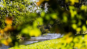 Saulėtas rudens rytas