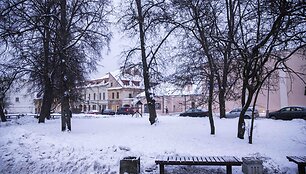 Lazdynų Pelėdos skveras