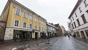 Lietuvos valstybingumo istorija - per valandos pasivaik&scaron;čiojimą Vilniaus senamiesčiu