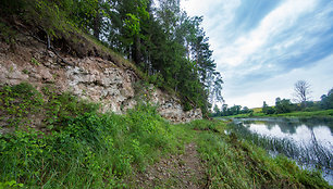  Muoriškių dolomito atodanga